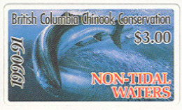 231) BC Wildlife Salmon Fishing Licence BCF2b 1990 - Briefe U. Dokumente