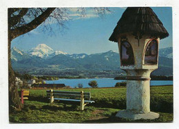 AK 102984 AUSTRIA  - Marterl Am Faakersee Mit Mittagskogel - Faakersee-Orte