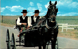 Pennsylvania Dutch Country Two Amish Boys Riding In A Courting Buggy - Lancaster
