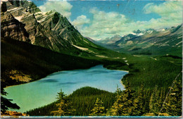 Canada Peyto Lake Aerial View 1971 - Banff