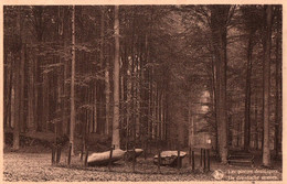 Tervuren (het Park) - De Druidische Steenen - Tervuren