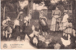 78 Saint-Hubert-Le-Roi - Les Essarts - Propriété Couson Chevre Goat Poule Ferme Enfants - Les Essarts Le Roi