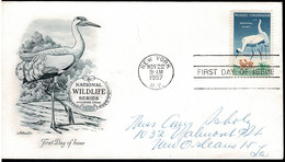 United States 1957 Wildlife Conservatio- Whooping Cranes Bird FDC - 1951-1960