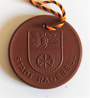 Médaille Porcelaine(porzellan) Meissen - Ville Et Blason De Radebeul. 42 Mm - Collections