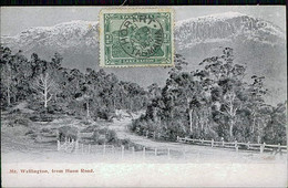 AUSTRALIA - TASMANIA - MT. WELLINGTON FROM HUON ROAD - STAMP - 1904 (15470) - Sonstige & Ohne Zuordnung