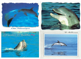 Lot 4 Cpm - Dauphin - La Méditerranée Dauphin Bleu Et Blanc MON AMI - Dauphins