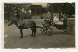 Carte Photo.femme Et Enfants En Charrette Voiture Hippomobile ,attelage De Chevaux ( Voir Inscription Au Verso Vittel ) - Vittel