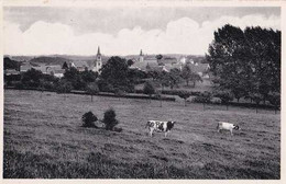 Falaën - Panorama - Onhaye - Circulé - TBE - Onhaye