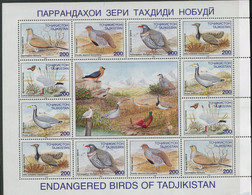 Tajikistan:Totsikistan:Unused 2 Sheets, Bloc And 6 Stamps Birds, Full Set, 1995, Blue And Dark Blue Bloc Texts, MNH - Tajikistan