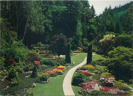Post Card Canada Victoria B.C. The Butchart Gardens - The Sunken Garden - Victoria