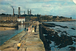 Postcard Scotland Fife St Andrews Seen From The Harbour - Fife