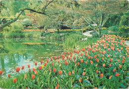 Postcard Canada Victoria B.C. The Butchart Gardens Sunken Lake Tulips - Victoria