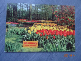 KEUKENHOF - Lisse