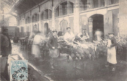 CPA Thèmes - Métiers - Les Abattoirs De La Villette - Egorgement De Moutons - Hélio. E. Le Deley - Oblitérée 1904 Yonne - Otros & Sin Clasificación