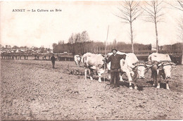 CPA - Annet  - A Culture En Brie - Fermes