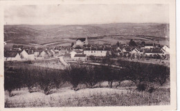 COULANGES LA VINEUSE - Coulanges La Vineuse