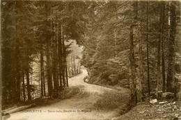 Chénelette * Le Sous Bois Et La Route De St Rigaud - Andere & Zonder Classificatie