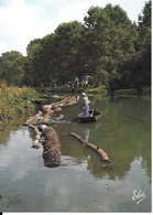 Marais Poitevin. -  Transport De Bois Par Voie D'eau -  Non écrite. Carte Datée De Juin 1983. Façon Toilée - Other & Unclassified