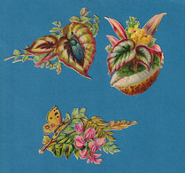 Chromo Decoupis Gaufré  Fleurs Plantes Insecte Coquillage Papillon En Très Bel état 1890 Environ 9 Cm - Flowers