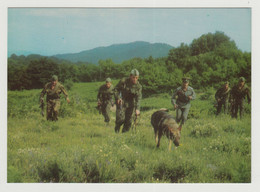 Bulgaria, People's Republic Of Bulgaria, Bulgarian, Border Troops, Dog, Communist Propaganda Photo Postcard RPPc (769) - Matériel