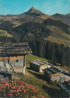 Postcard Austria Almhutten Im Brixental Gegen Brechhorn - Brixen Im Thale