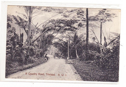 Trinidad  Tobago A Country Road - Trinidad