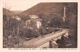 BLESLE (Haute-Loire) - Le Bas-Bory Et La Vallée De L'Allagnon - Blesle