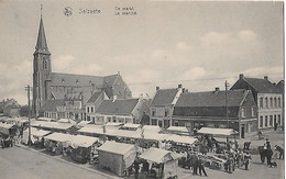 Zelzate De Markt - Zelzate