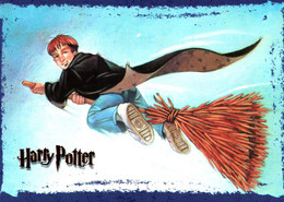 16324 HARRY POTTER   Sur Son Balai WB Warner Bros    ( 2 Scans ) - Autres & Non Classés