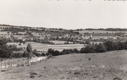 ( 234 )   CPSM  Reclere  Vue Des Grottes  (Bon état) - Réclère