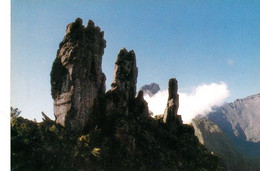 Ile De La Réunion (Océan Indien)  Les 3 Salazes  Col Du Taïbit  N°1043  TBE - Autres & Non Classés