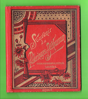 64 - LESTELLE-BÉTHARRAM . PAYS BASQUE . " SOUVENIR DU PÈLERINAGE À BÉTHARRAM " - Réf. N°213L - - Baskenland