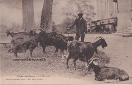 64 Salies De Bearn Le Chevrier Chevre Goat - Salies De Bearn