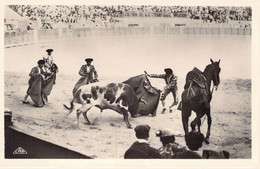 CPA CORRIDA - 15 - Courses De Taureaux - Passe De Manteau Dite Véronique - Corridas