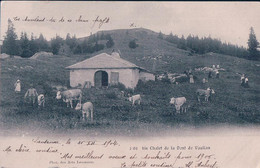 Vallée De Joux, Troupeau Et Chalet De La Dent De Vaulion (2601) - Vaulion