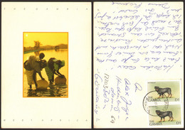 Delcampe - West Africa GAMBIA Women With Children On River Dog Nice Stamp #37669 - Gambia