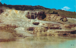 Postcards United States > WY - Wyoming > Yellowstone Minerva Terrace 1959 - Yellowstone