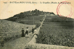St Cyr Au Mont D'or * Le Grapillon , Montée Au Mont Cindre * Chemin - Autres & Non Classés
