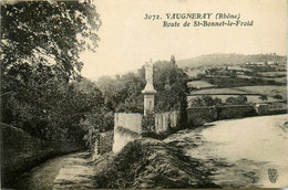 Vaugneray * La Route De St Bonnet Le Froid - Autres & Non Classés