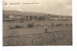 AMBERLOUP  Panorama De Tonny - Saint-Hubert