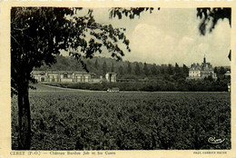 Ceret * Le Château Bardou Job Et Les Caves * Vignoble Vignes Vin - Ceret