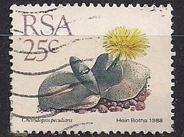 South Africa 1988-93 - Cheiridopsis Pecularis Scott#744- Used - Oblitérés