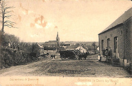 Grandrieu - Le Chemin Des Viviers - Sivry-Rance