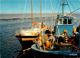 Le Croisic * Bateau Et Retour De Pêche * Pêcheurs - Le Croisic