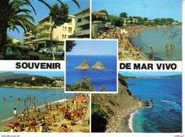 83 LA SEYNE SUR MER N°1094 Souvenir De MAR VIVO Plage Baignade En 1995 Citroën DS Et ID Break - La Seyne-sur-Mer