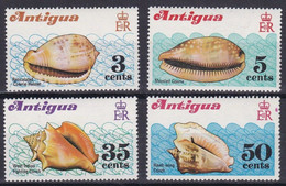 ANTIGUA 1972 - CONCHAS - SHELLS - COQUILLAGES - YVERT 279/282** - Barbuda (...-1981)