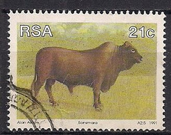 South Africa 1991 - Bonsmara Cattle Scott#802- Used - Used Stamps