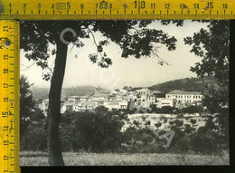 Avellino Paternopoli Panorama - Avellino