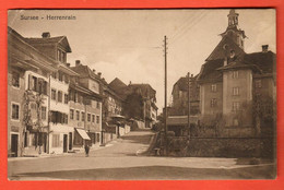 ZUD-02 Sursee  Herrenrain Belebt.  Von Matt Buchhandlung Sursee. Gelaufen 1922 - Sursee