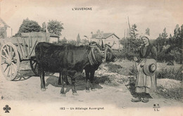 CPA Agriculture - Attelage - Un Attelage Auvergnat - L'auvergne - Animé - Wagengespanne